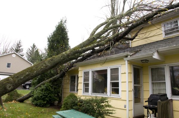 Hurricane Damage Repair in Destin